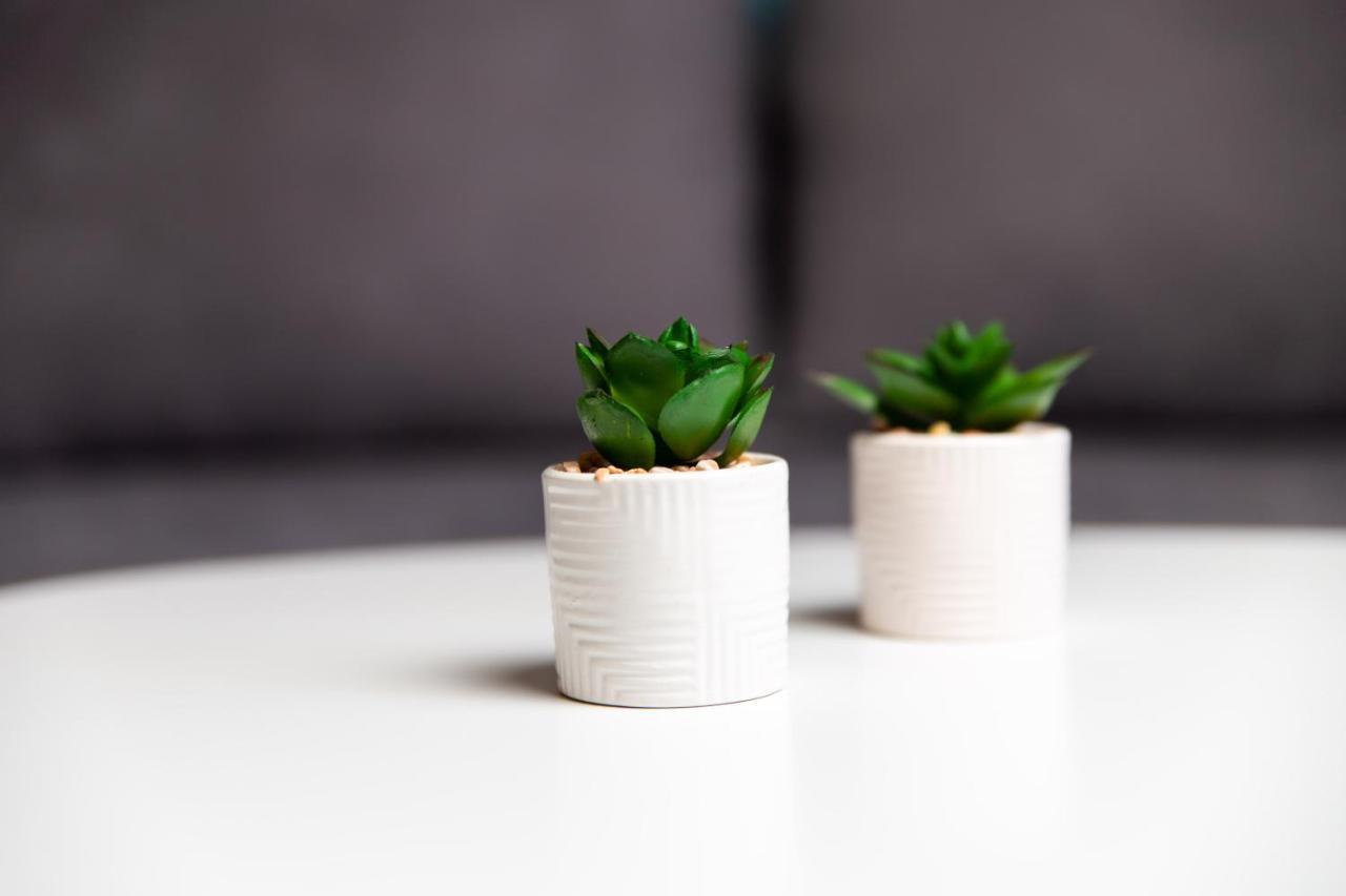 Apartmán Zen 6 Viskovo Exteriér fotografie